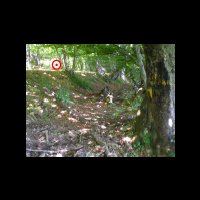 08-1220m-Pas-a-droite.jpg