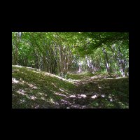 09-Prendre-chemin-du-milieu.jpg