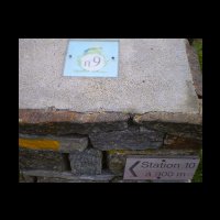 20-station-grenouille-Taulat.jpg