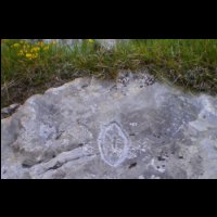 29-Vulve-gravee-Sept-Font.jpg