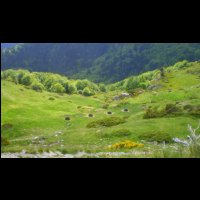 34-Abreuvoirs-pneus-Sept-Font.jpg