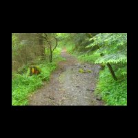 90-Bois-de-la-Reboule.jpg