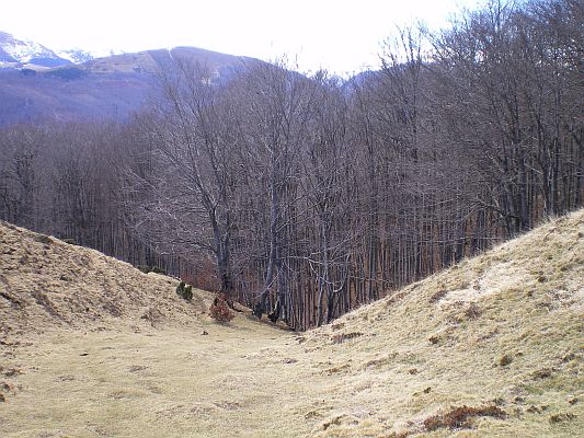 Fort Htres Paloumere photo