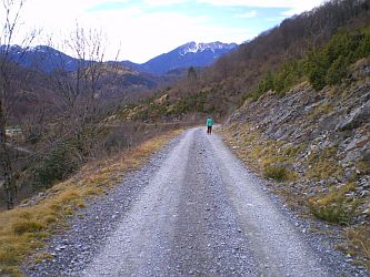 route forestire retour