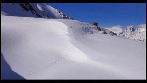 14h29-Qui-est-passe-la.QM.JPG