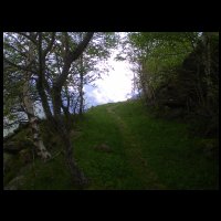 04-joli-chemin-horizontal.jpg