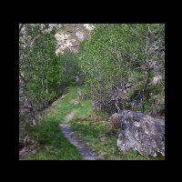 04-sentier-horizontal-depart-Picot.jpg