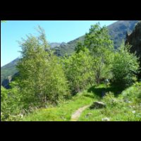 11-Joli-sentier-horizontal-Picot.jpg