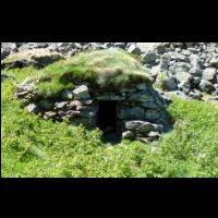 15-Orri-du-Picot-framboisiers.jpg