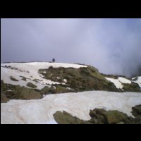 21-arbre-solitaire-2200m.JPG