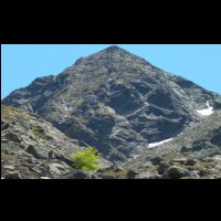 40-Losange-gris-tache-verte.jpg