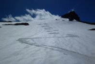 48-Serpent-traces-ski-pente-N-E.jpg