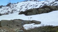 61-ca-fini-trop-vite.jpg