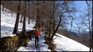 11h14-010.jpg