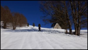 12h50-035.jpg