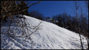 13h19-042.jpg