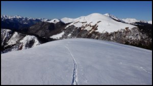 14h16-064.jpg