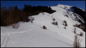 16h10-091.jpg