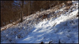 16h52-097.jpg
