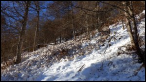 16h52-098.jpg