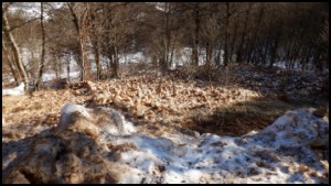 16h55-099.jpg