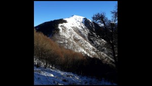 17h02-001.jpg