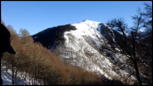 17h02-105.jpg