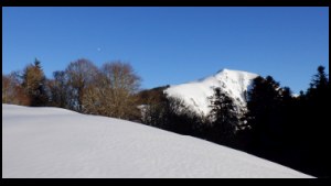 17h14-110.jpg