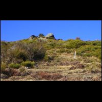 22-flechage-piquets.jpg