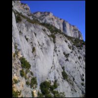 53-Pubis.jpg
