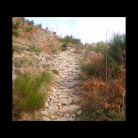 04-Sentier.jpg
