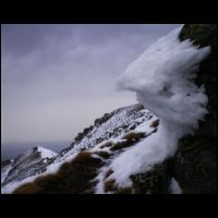 16-Bec-Givre-St-Barthelemy.jpg