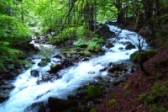 05-Ruisseau-Peyralade-deborde.jpg