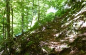 06-Ensoleillee-montee.jpg
