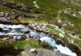 10-Enfin-passage-safe-Torrent-1.jpg