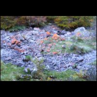 019-Rocs-peints-orange.JPG