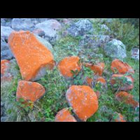 020-Rocs-oranges-torrent-Valier.JPG