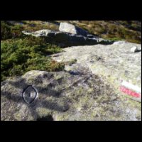 040-Vulve-gravee-Caussis.JPG