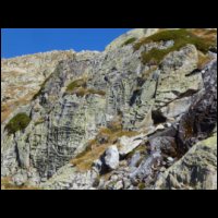 063-Granite-quadrille.JPG