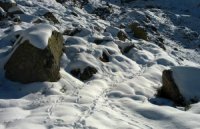 12h-Valier-que-de-traces-neige.jpg