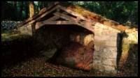 15-Reserve-de-Bois-Larche.jpg