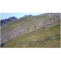 21-montee-Pomarole.jpg