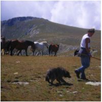 27-Puta-de-Caballo.jpg