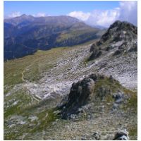 31-Mort-Escoula-Esquerdes.jpg