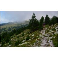 41-Kil-est-long-ton-chemin-papa.jpg