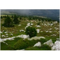 42-Esquerdes-de-Rotja.jpg