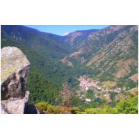 61-Py-col-Mantet.jpg