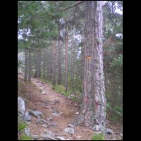 01c-sentier-Mantet-Pla-Segala.jpg