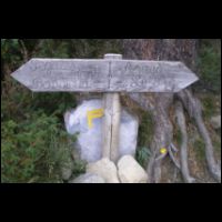 08-Bifurcation-GR-Pic-pano.jpg