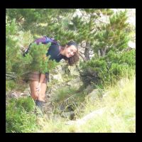 378-Coucou-Guillou.jpg